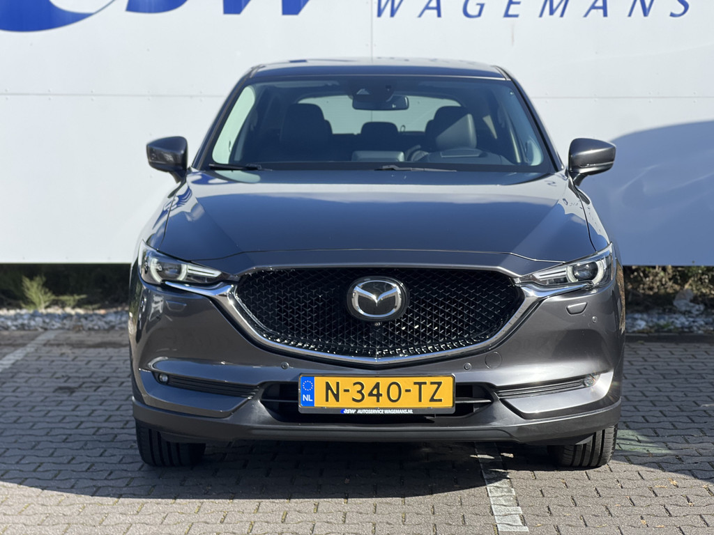 47350191-4.jpg