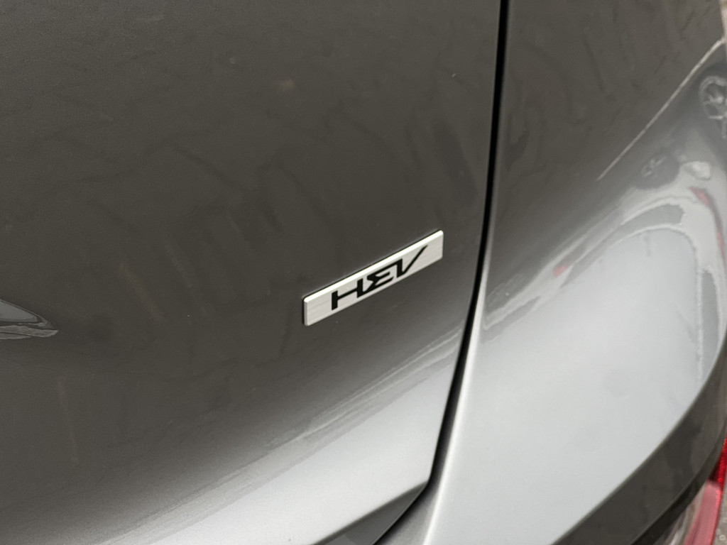 47973877-35.jpg