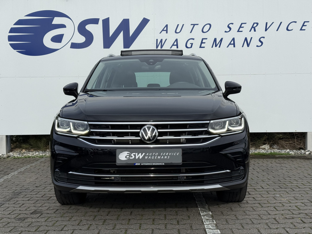 48587679-5.jpg
