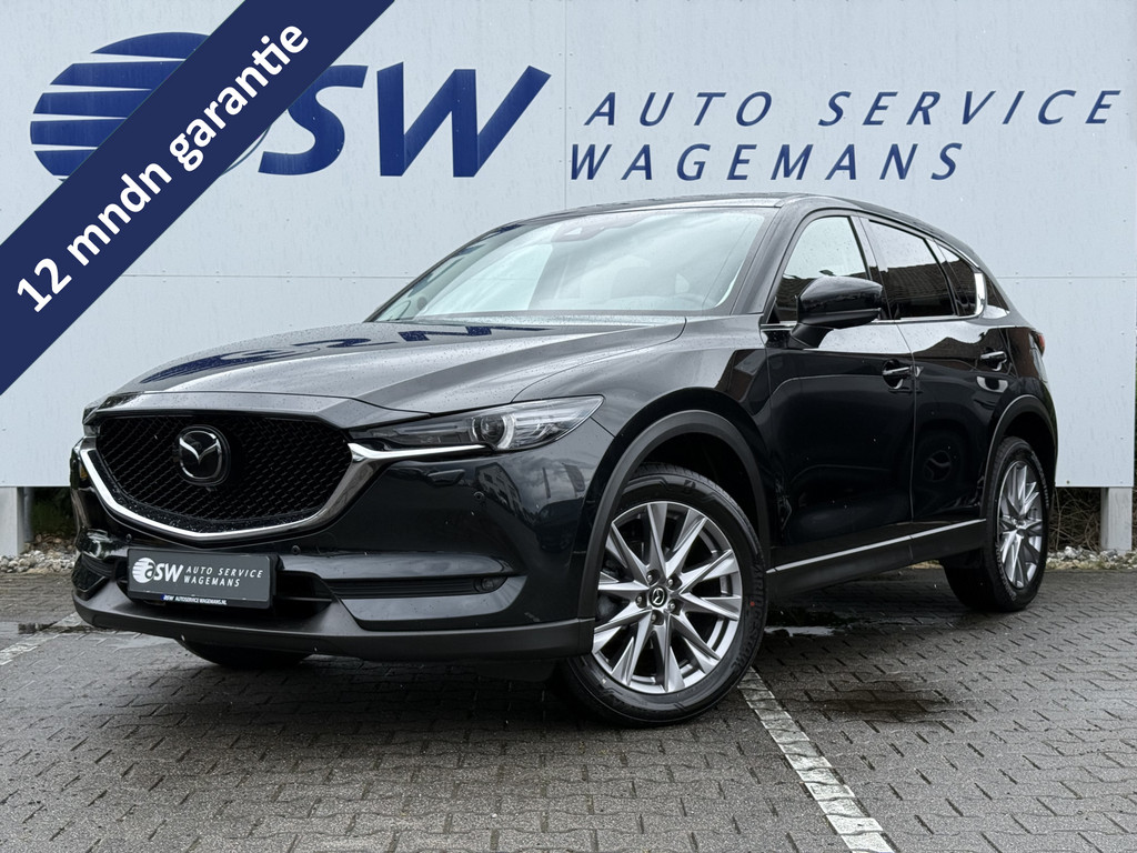 54085425